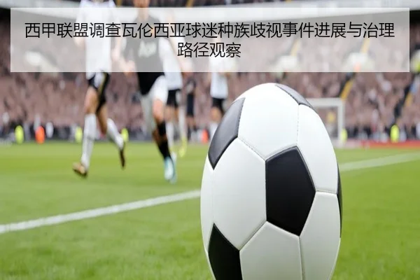 西甲联盟调查瓦伦西亚球迷种族歧视事件进展与治理路径观察 | kaiyun