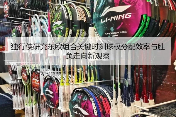 独行侠研究东欧组合关键时刻球权分配效率与胜负走向新观察